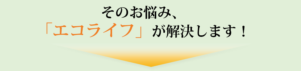 そのお悩み、「エコライフ」が解決します！